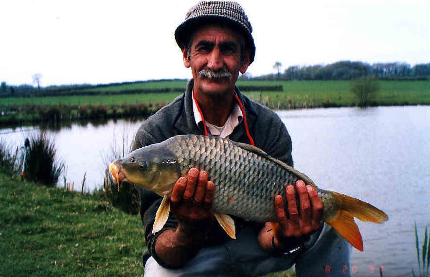 Carp